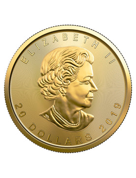 2019 1/2 oz Canadian Gold Maple Leaf Coin