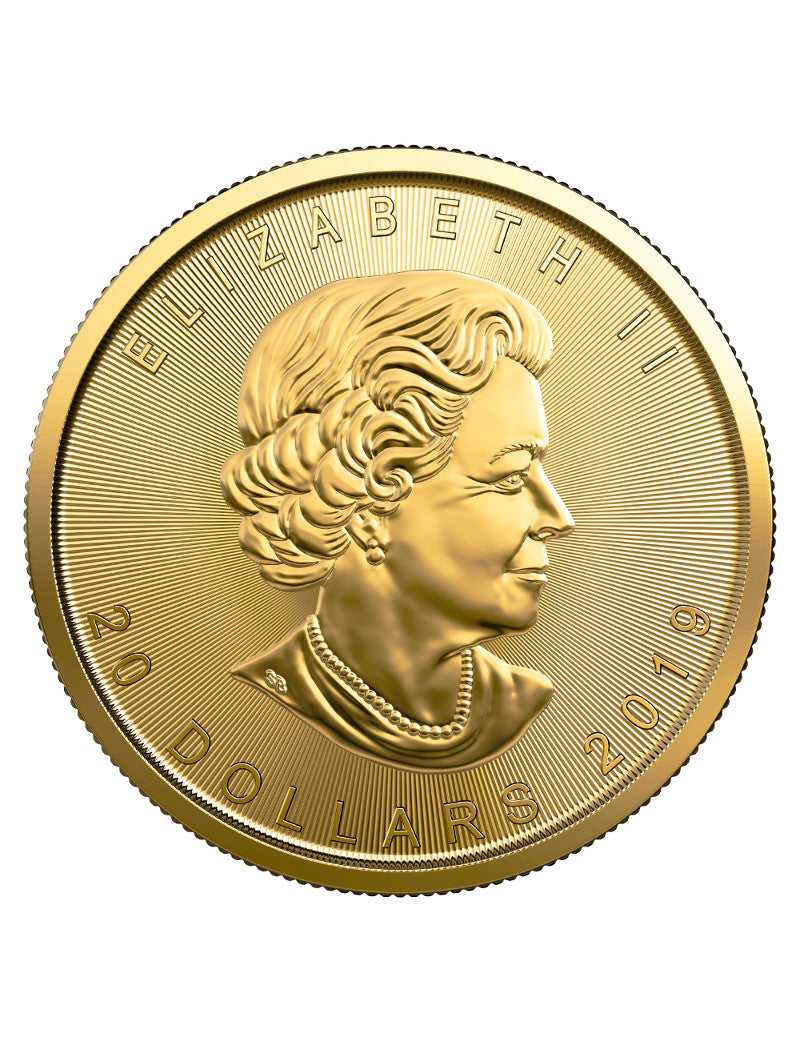 2019 1/2 oz Canadian Gold Maple Leaf Coin
