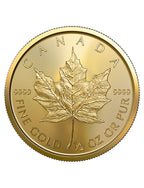 2019 1/2 oz Canadian Gold Maple Leaf Coin