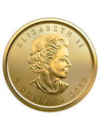 2019 1/10 oz Canadian Gold Maple Leaf Coin
