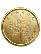 2019 1/10 oz Canadian Gold Maple Leaf Coin