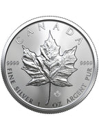 2019 1 oz Canadian Silver Maple Leaf Coin