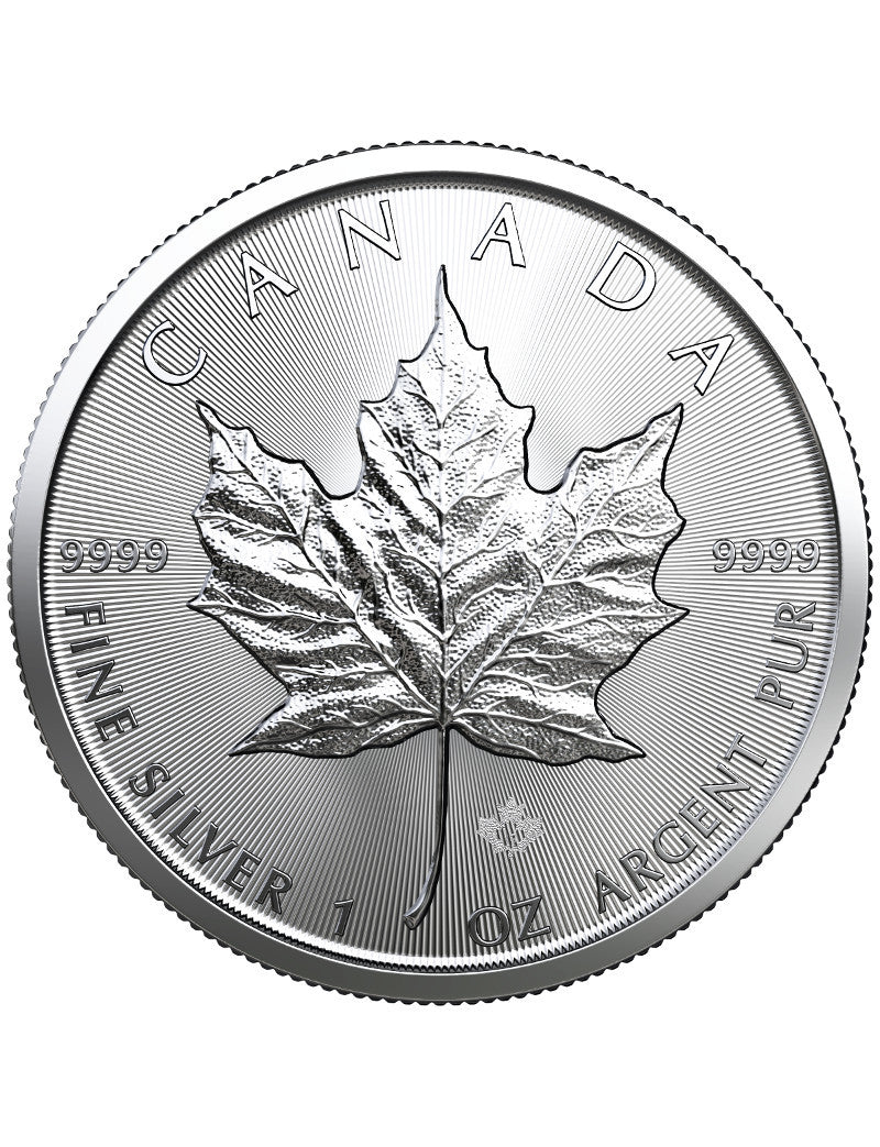 2019 1 oz Canadian Silver Maple Leaf Coin