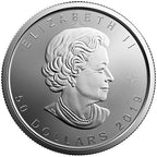 2019 1 oz Canadian Platinum Maple Leaf Coin