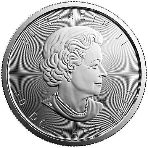 2019 1 oz Canadian Platinum Maple Leaf Coin
