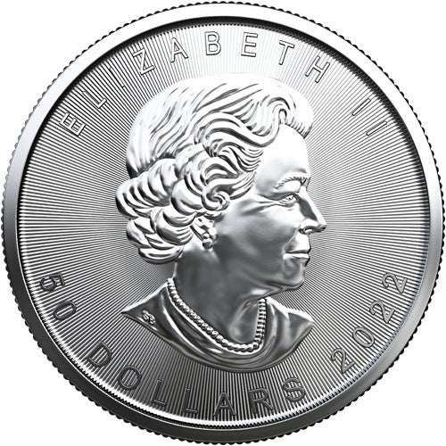 2022 1 oz Canadian Platinum Maple Leaf Coin BU