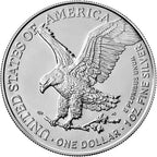 2022 1 oz American Silver Eagle Coin (BU)