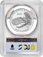 2025-W $100 Platinum Eagle Right To Petition FDI PCGS PR70