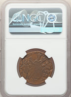 St. Patrick Halfpenny BN Colonials NGC VF20