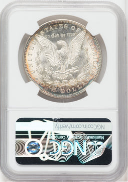 1891 $1 NGC Plus Morgan Dollar NGC MS64+