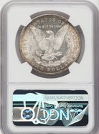 1879-S $1 Reverse of 1878 Morgan Dollar NGC MS64