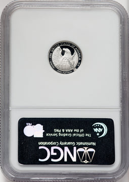 2007-W $10 Tenth-Ounce Platinum Eagle First Strike DC NGC PF70