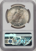 1925-S $1 CAC NGC Plus Peace Dollar NGC MS64+