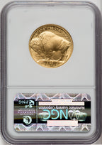 2008-W $25 Half-Ounce Gold Buffalo Brown Label NGC MS70