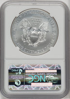 2013-W S$1 Silver Eagle Burnished First Strike NGC MS70 (763687018)