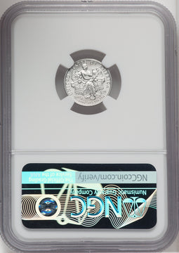 2006-W $10 Tenth-Ounce Platinum Eagle Burnished Brown Label NGC MS70
