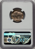1913 5C Type Two Proof Buffalo Nickel NGC PR66