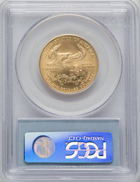 2008-W $25 Half-Ounce Gold Eagle Burnished PCGS SP70
