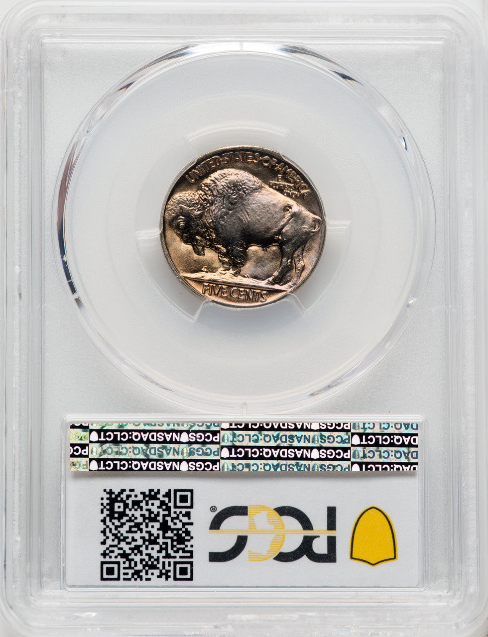 1926 5C Buffalo Nickel PCGS MS67