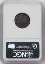 1652 6PENCE Oak Tree IN on Reverse Colonials NGC XF45