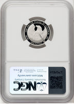 2007-W $25 Quarter-Ounce Platinum Eagle Statue of Liberty Brown Label NGC PF70 (505808012)