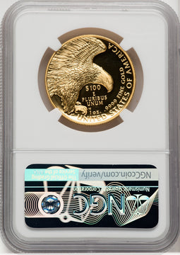 2019-W $100 High Relief Enhanced Finish First Strike NGC SP70