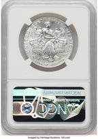 2006-W $100 One-Ounce Platinum Eagle Burnished NGC MS70