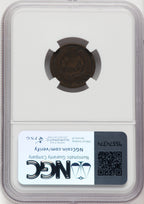1877 1C BN Indian Cent Details NGC VG8