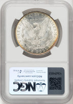 1881 Morgan Dollar NGC MS66 (770291023)