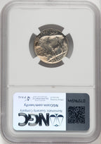 1919-D 5C Buffalo Nickel NGC MS64 (769245008)