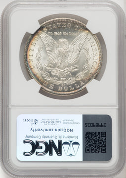 1882-CC Morgan Dollar NGC MS67