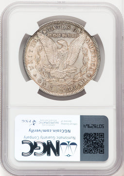 1891-CCVAM-3 Spitting Eagle Morgan Dollar NGC MS61
