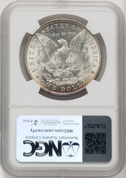1901 Morgan Dollar NGC MS64