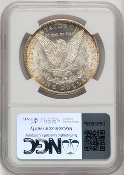 1884-CC Morgan Dollar NGC MS67 (771393002)
