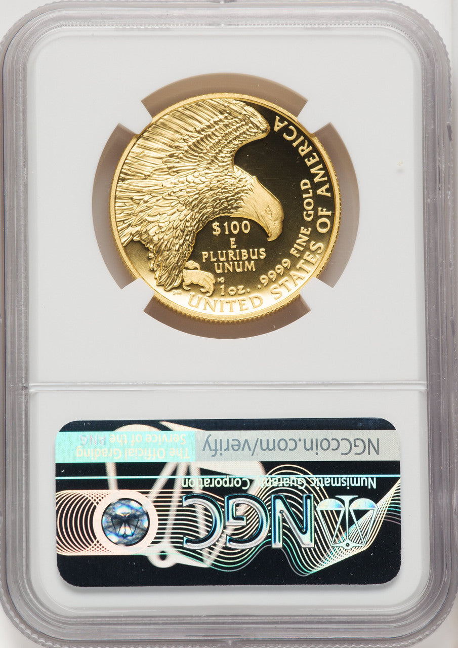 2019-W G$100 American Liberty High Relief Enhanced UC FDI Mike Castle NGC MS70