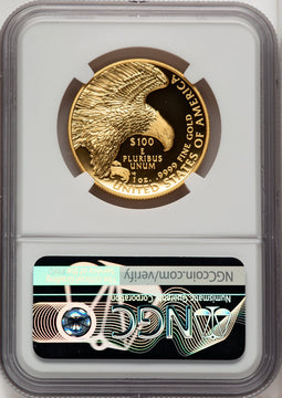 2019-W G$100 American Liberty High Relief Enhanced UC Mike Castle NGC MS70