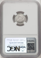 2007-W $10 Tenth-Ounce Platinum Eagle Burnished NGC MS70 (506177002)