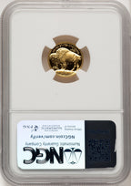 2008-W $5 Tenth-Ounce Gold Buffalo .9999 Fine Gold Brown Label NGC PF70 (774365015)