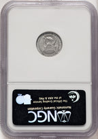 2007-W $10 Tenth-Ounce Platinum Eagle Burnished Brown Label NGC MS70