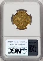 1795 $5 Small Eagle Early Half Eagle NGC AU53