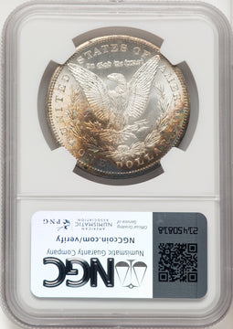 1884-CC Morgan Dollar NGC MS67 (520875011)
