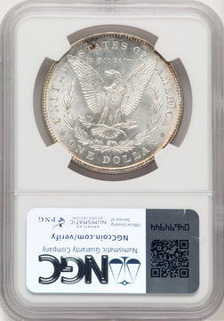 1878 7TF Reverse of 1878 CAC Morgan Dollar NGC MS66