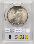1924-S Peace Dollar PCGS MS64+