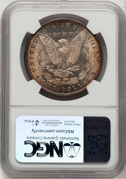 1892 Morgan Dollar NGC MS64 (777130011)