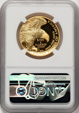 2019-W G$100 American Liberty High Relief Enhanced UC NGC MS70 (777802001)