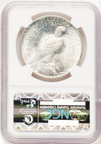 1922-D Peace Dollar NGC MS66 (507604003)