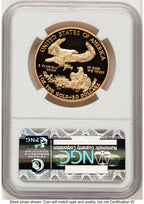 2013-W Proof Gold Eagle 1 oz ER Blue NGC PF70