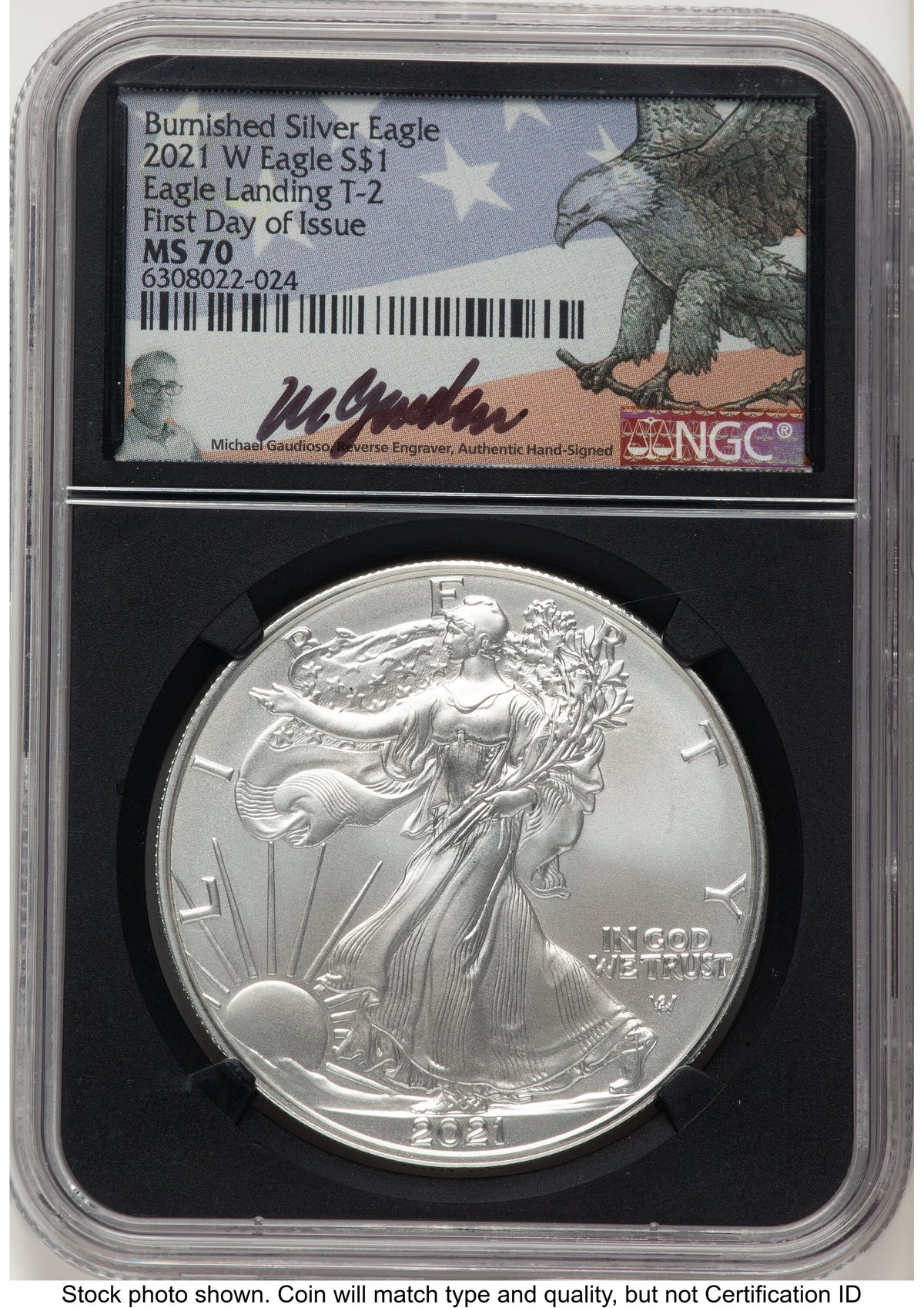 2021-W TY2 Burnished Silver Eagle 1 oz FDI Michael Gaudioso Eagle Flag NGC MS70