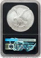 2021-W TY2 Burnished Silver Eagle 1 oz FDI Michael Gaudioso Eagle Flag NGC MS70