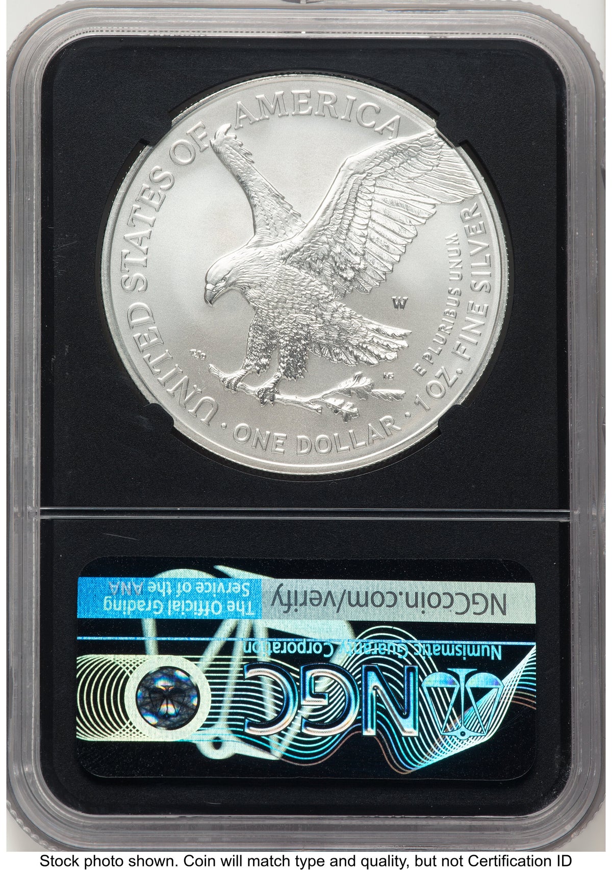 2021-W TY2 Burnished Silver Eagle 1 oz FDI Michael Gaudioso Eagle Flag NGC MS70